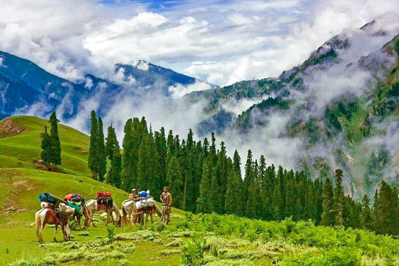 Thandiani Attractions Things to do in Abbottabad